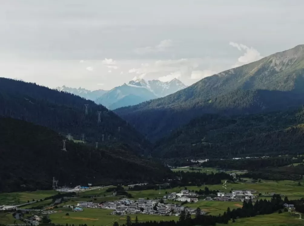 高原烟花,炸碎了品牌遮羞布-第11张图片- 高原烟花,炸碎了品牌遮羞布-第11张图片-