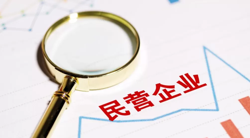 白皮书：民企公司治理仍存缺陷，请求变更公司登记案增幅最快-第1张图片-
