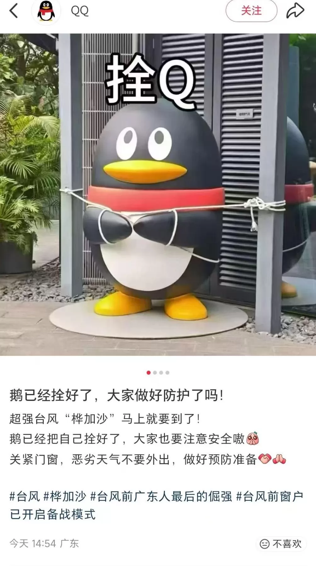 企鹅变“拴Q”、汽车被五花大绑、商超剩下辣椒，广东多地提醒无需过度囤货-第1张图片-