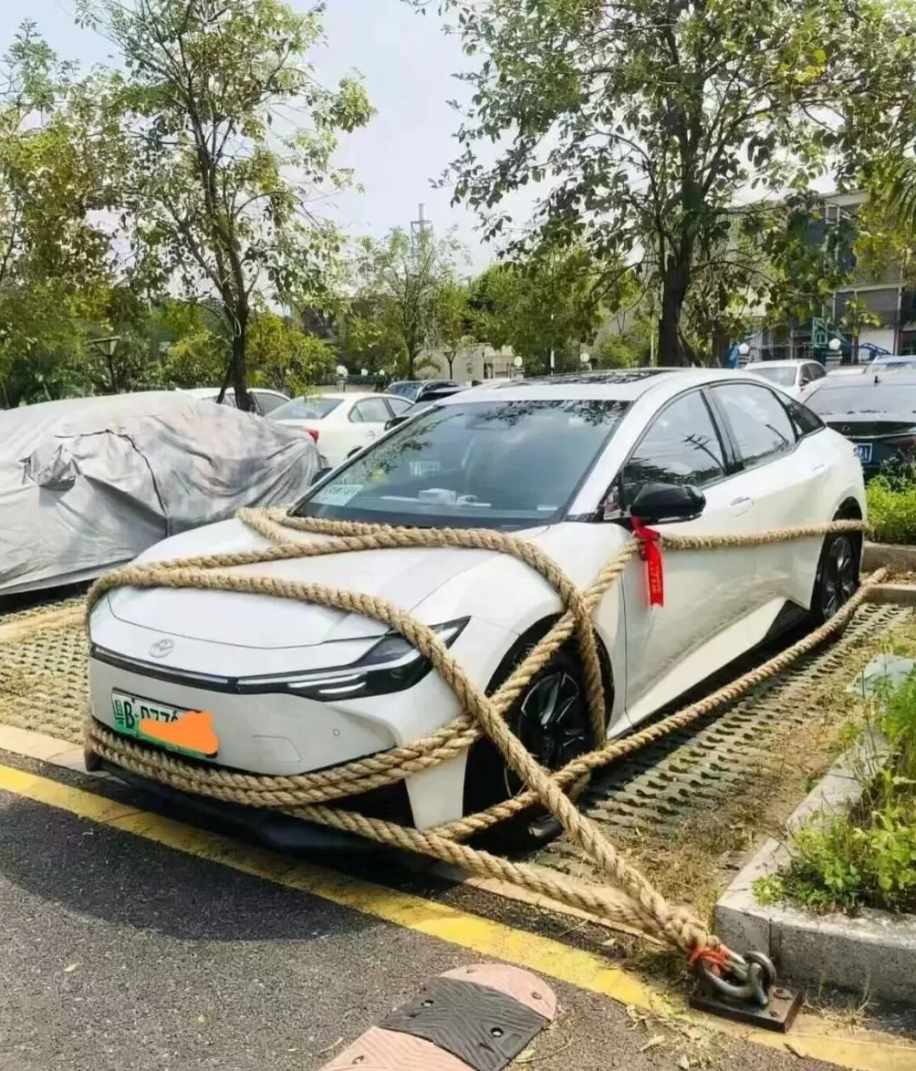 企鹅变“拴Q”、汽车被五花大绑、商超剩下辣椒，广东多地提醒无需过度囤货-第5张图片-