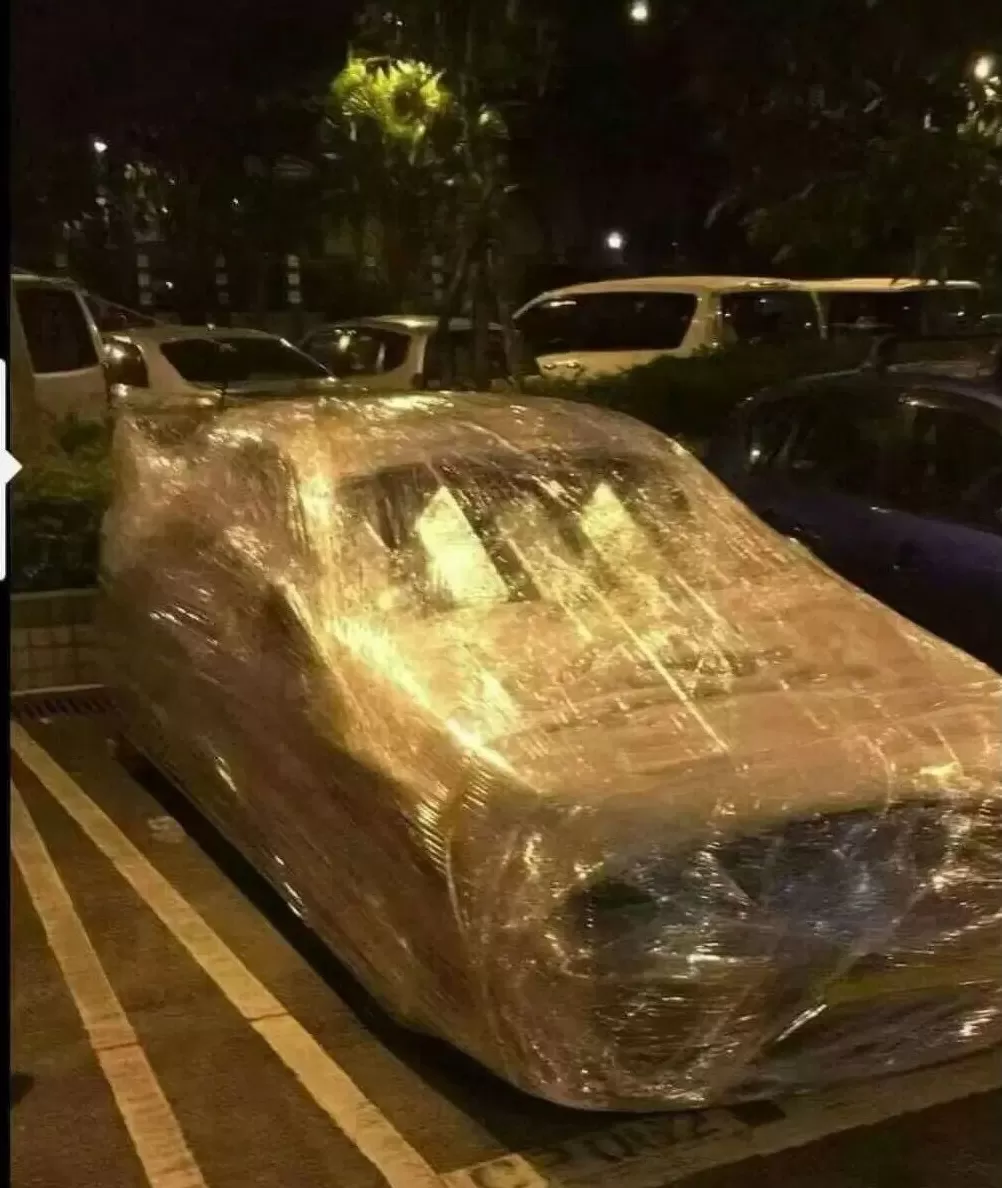 企鹅变“拴Q”、汽车被五花大绑、商超剩下辣椒，广东多地提醒无需过度囤货-第6张图片-