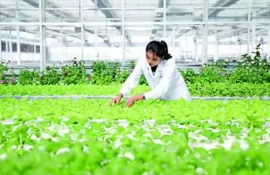 新疆维吾尔自治区70年发展成就斐然——同心共筑梦天山绽新颜-第3张图片- 新疆维吾尔自治区70年发展成就斐然——同心共筑梦天山绽新颜-第3张图片-