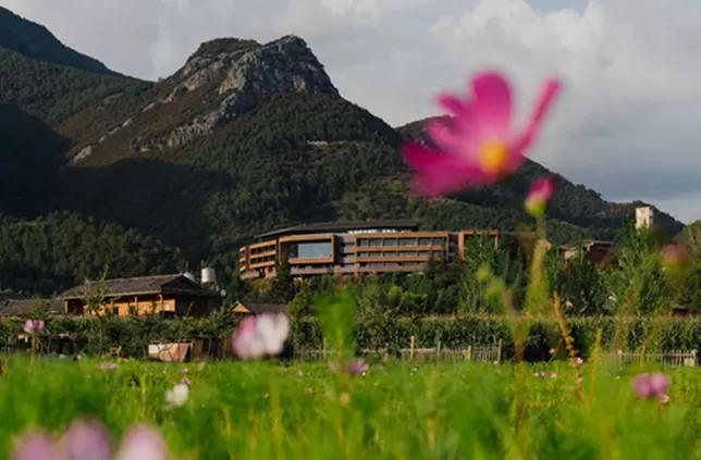 在泸沽湖转山转海，感受这片高原秘境的文化焕新-第4张图片-