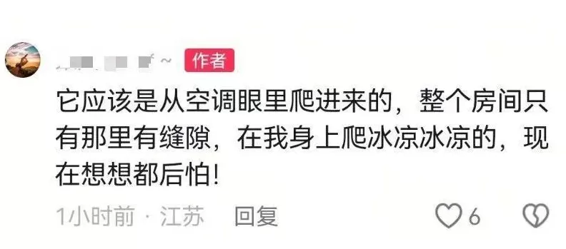 装修工人梦中突感凉意，感觉有动物爬过，打死后发现竟是一条蛇-第2张图片-