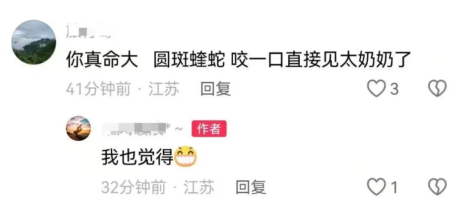 装修工人梦中突感凉意，感觉有动物爬过，打死后发现竟是一条蛇-第4张图片-