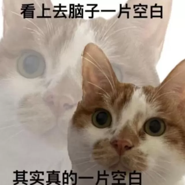 时隔快一百年，胖东来又把自有品牌带火了？-第5张图片-