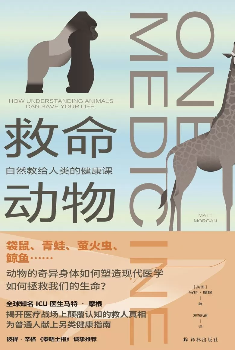 科普书单·新书｜从建造金字塔到探索无穷大-第12张图片-