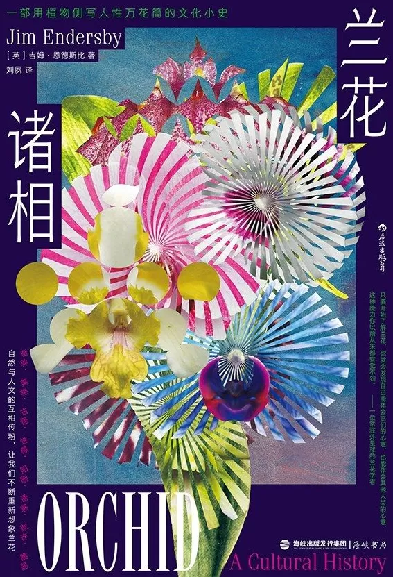 科普书单·新书｜从建造金字塔到探索无穷大-第16张图片-