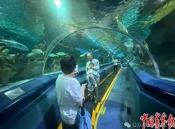 卖企鹅，出租海豚，海洋馆没“鲸”费了-第5张图片-