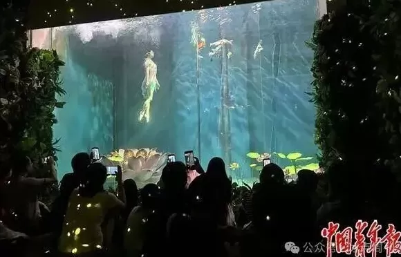 卖企鹅，出租海豚，海洋馆没“鲸”费了-第6张图片-