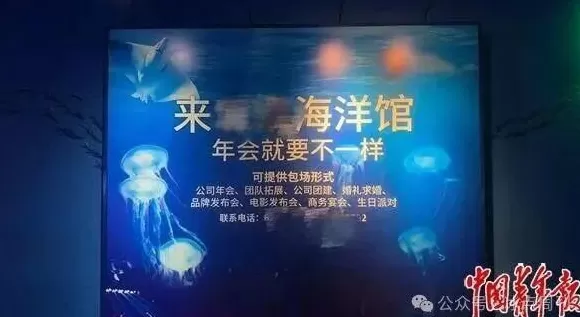 卖企鹅，出租海豚，海洋馆没“鲸”费了-第7张图片-