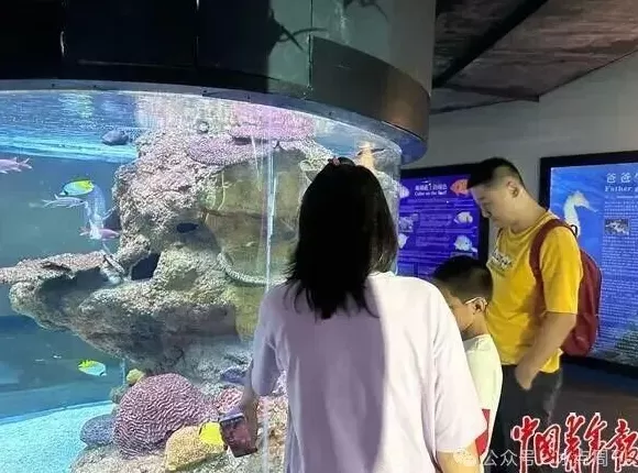 卖企鹅，出租海豚，海洋馆没“鲸”费了-第9张图片-