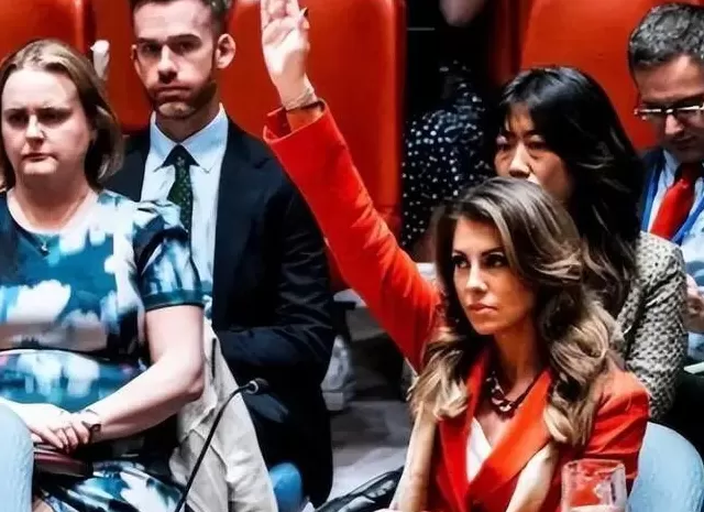 应对全球性挑战，必须重振联合国权威和活力！-第2张图片-