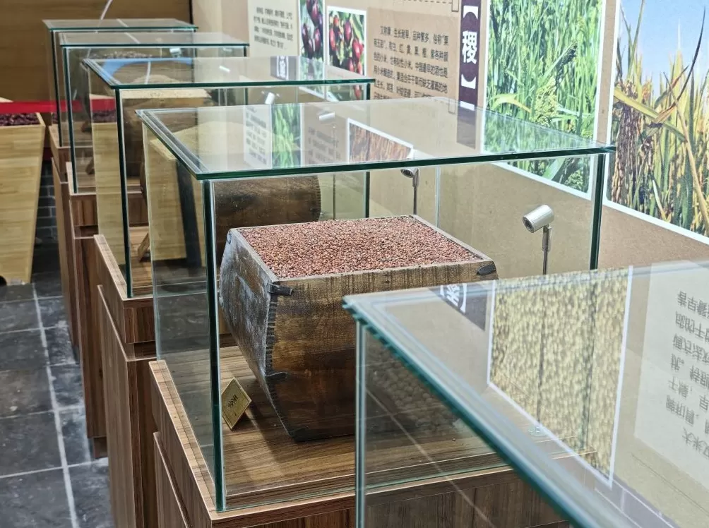 追问“后稷之后，何为稷山”：解码弘扬农耕文明的稷山答案-第8张图片-