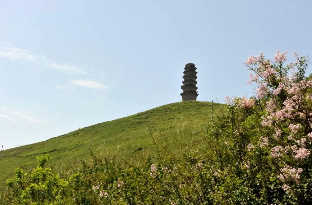 追问“后稷之后，何为稷山”：解码弘扬农耕文明的稷山答案-第13张图片-