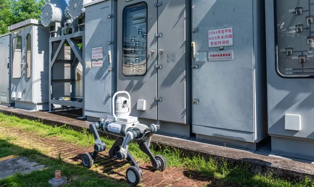 广东受台风影响停电的六成用户已恢复供电，江门一线路因长蛇致短路-第1张图片-