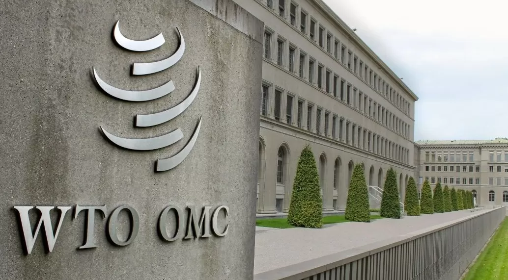 世贸组织总干事对中国在世贸谈判中将不寻求新的特殊和差别待遇表示欢迎-第1张图片-