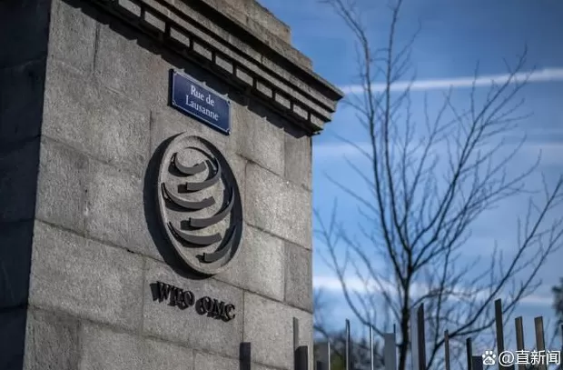 中国不再寻求新的发展中国家“特殊和差别待遇”,意味着什么?-第2张图片- 中国不再寻求新的发展中国家“特殊和差别待遇”,意味着什么?-第2张图片-