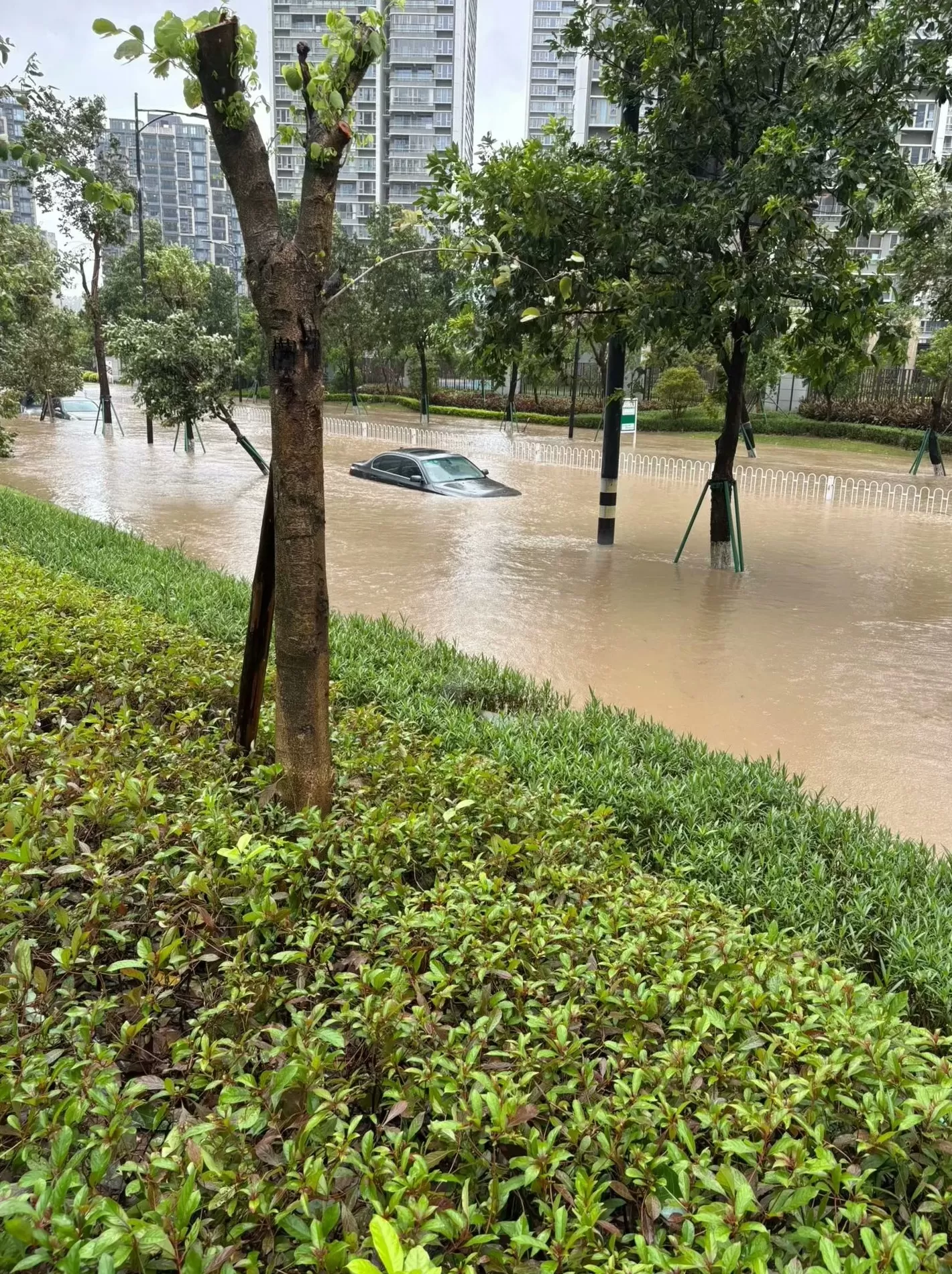 受“桦加沙”影响广东珠海现海水倒灌,居民:多数路段已具备通车条件-第2张图片- 受“桦加沙”影响广东珠海现海水倒灌,居民:多数路段已具备通车条件-第2张图片-