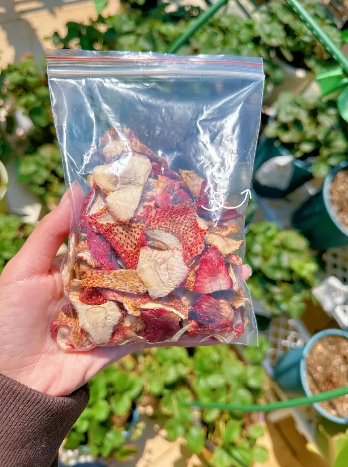 百亿“阳台经济”，谁在买单？-第8张图片-