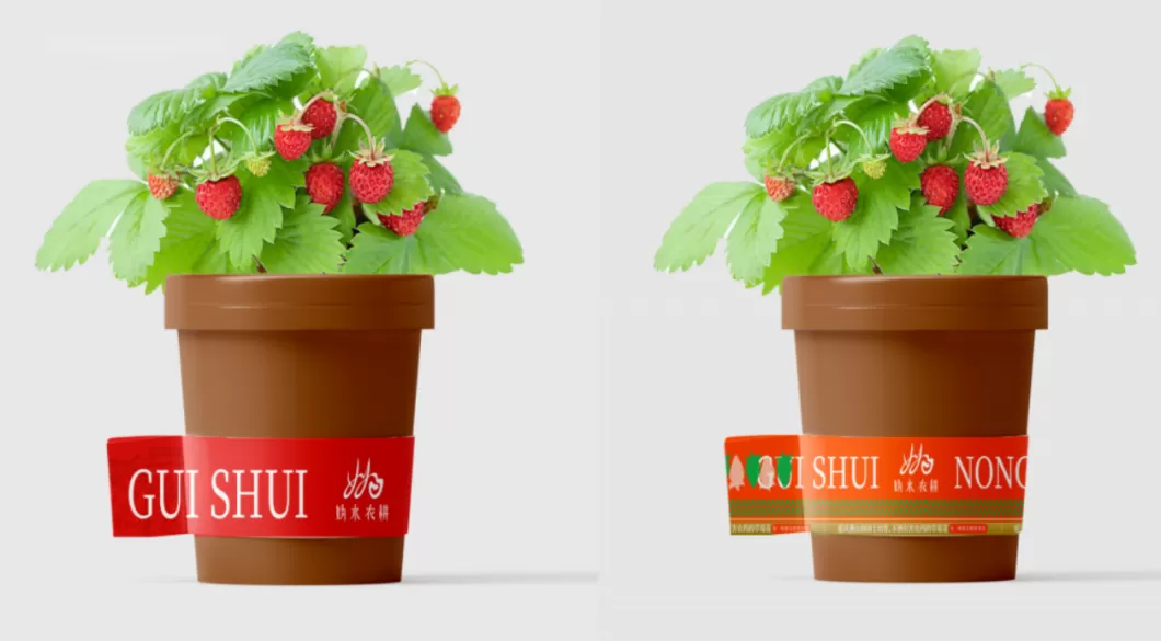 百亿“阳台经济”，谁在买单？-第7张图片-