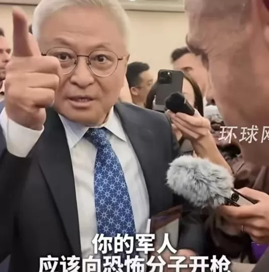 声援加沙的阎学通，“丢了国人的脸”？-第3张图片-
