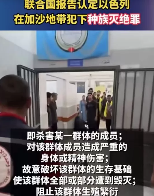声援加沙的阎学通，“丢了国人的脸”？-第21张图片-