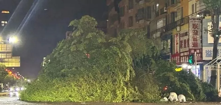 “桦加沙”登陆后的20小时，阳江怎样了？-第4张图片-