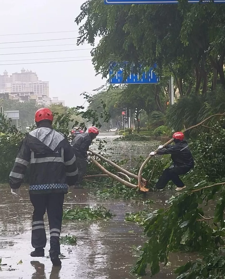 “桦加沙”登陆后的20小时，阳江怎样了？-第10张图片-