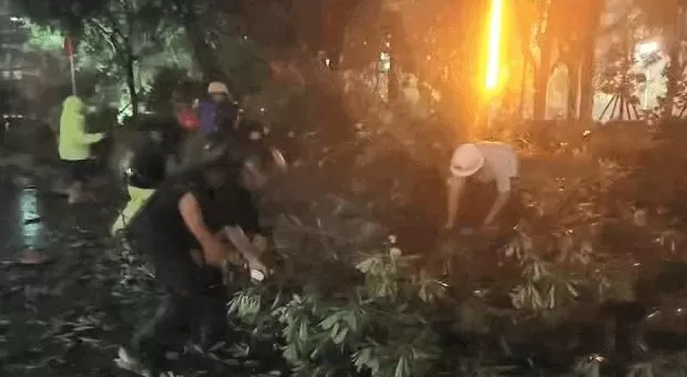 “桦加沙”登陆后的20小时，阳江怎样了？-第9张图片-