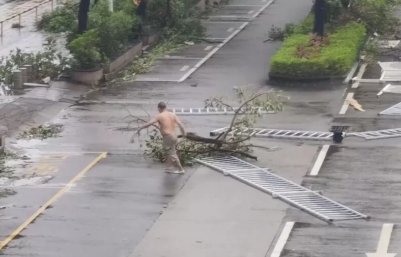 “桦加沙”登陆后的20小时，阳江怎样了？-第11张图片-