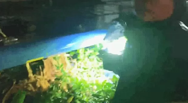 “桦加沙”登陆后的20小时，阳江怎样了？-第14张图片-