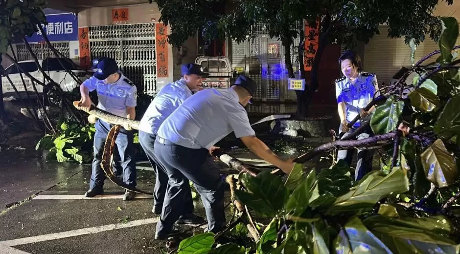 “桦加沙”登陆后的20小时，阳江怎样了？-第17张图片-
