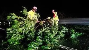 “桦加沙”登陆后的20小时，阳江怎样了？-第22张图片-