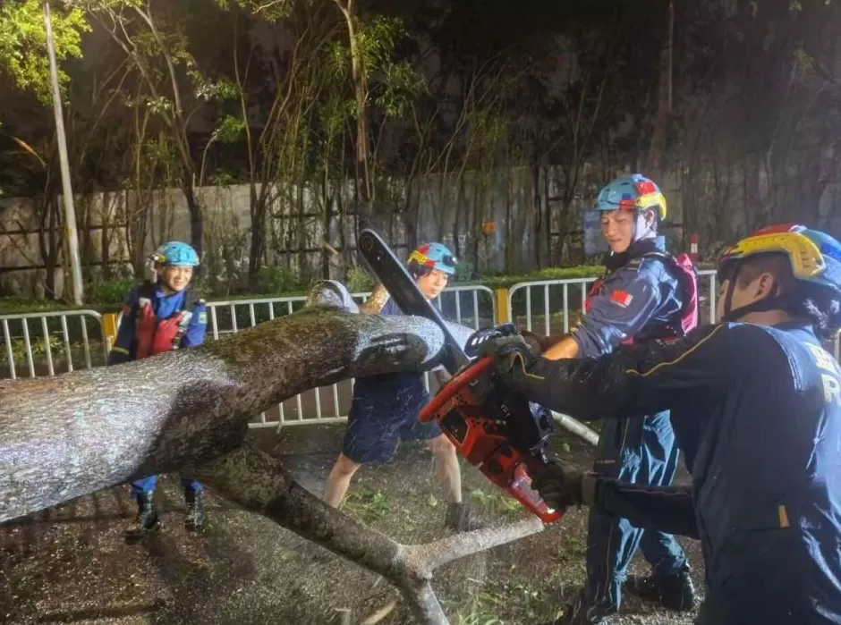 “桦加沙”登陆后的20小时，阳江怎样了？-第24张图片-
