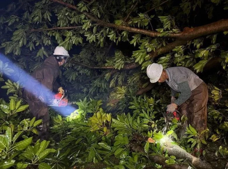 “桦加沙”登陆后的20小时，阳江怎样了？-第38张图片-