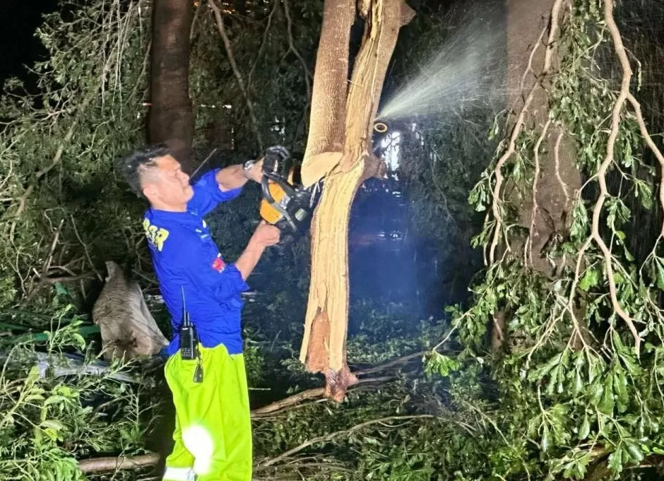 “桦加沙”登陆后的20小时，阳江怎样了？-第36张图片-
