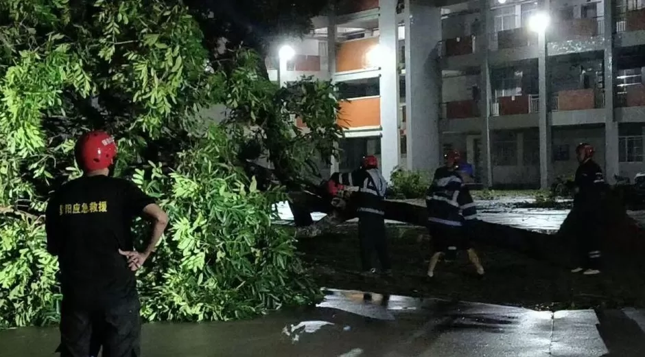 “桦加沙”登陆后的20小时，阳江怎样了？-第40张图片-