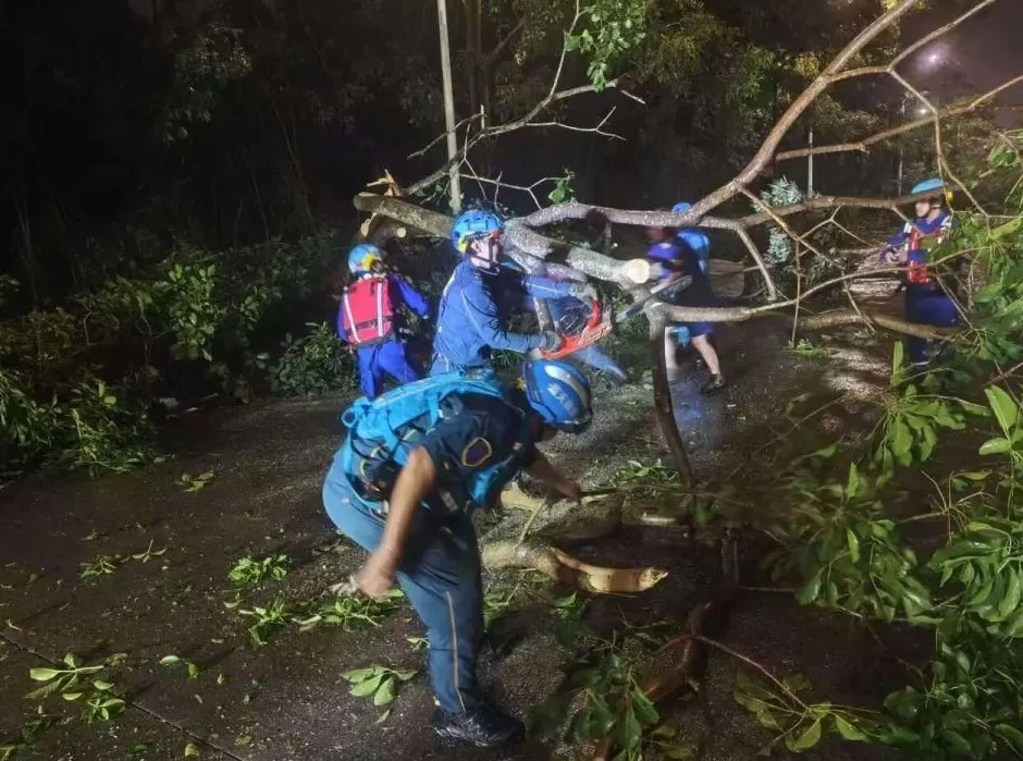 “桦加沙”登陆后的20小时，阳江怎样了？-第41张图片-