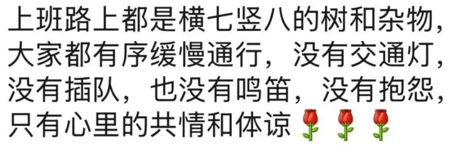 “桦加沙”登陆后的20小时，阳江怎样了？-第48张图片-