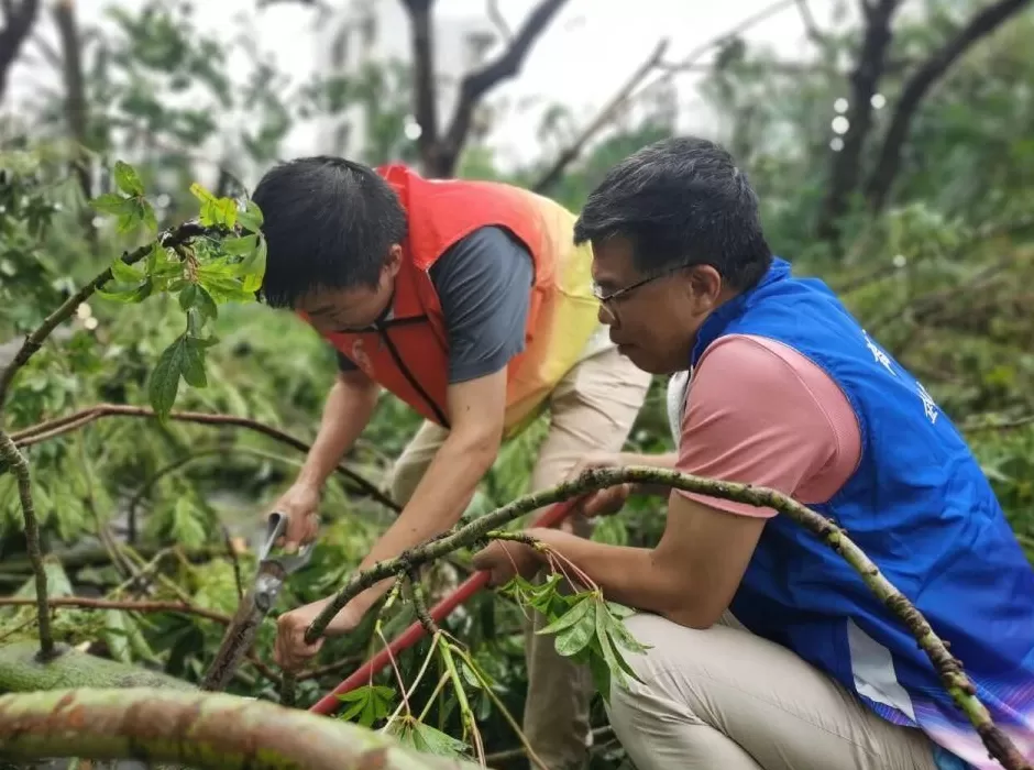 “桦加沙”登陆后的20小时，阳江怎样了？-第50张图片-