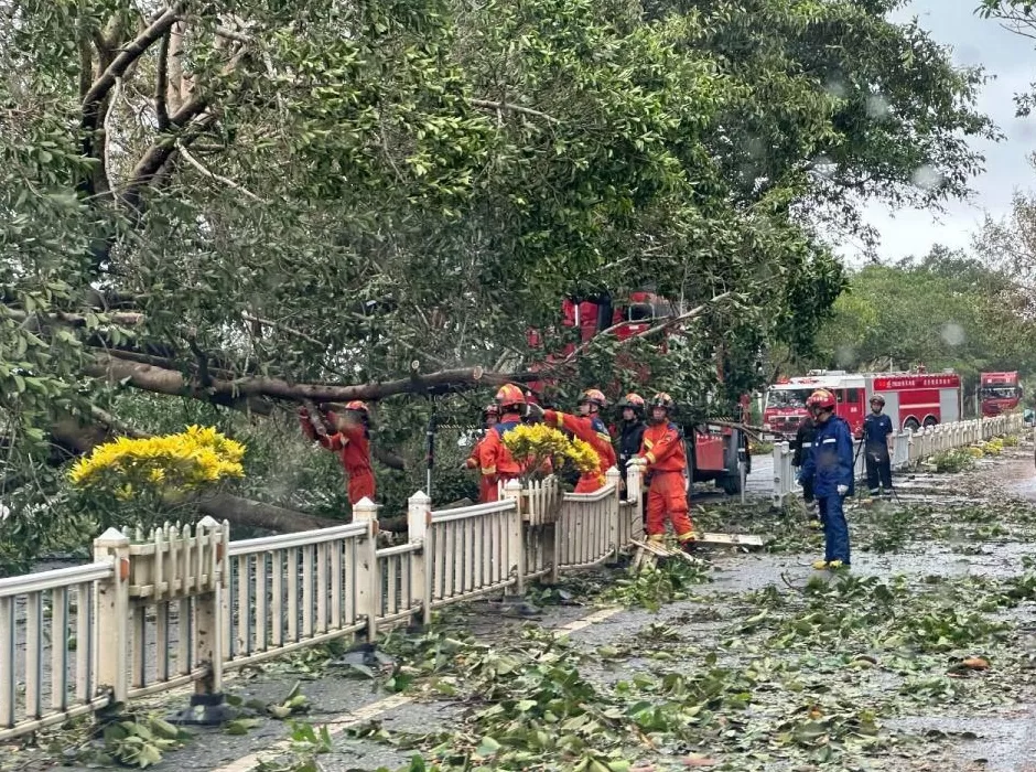“桦加沙”登陆后的20小时，阳江怎样了？-第53张图片-