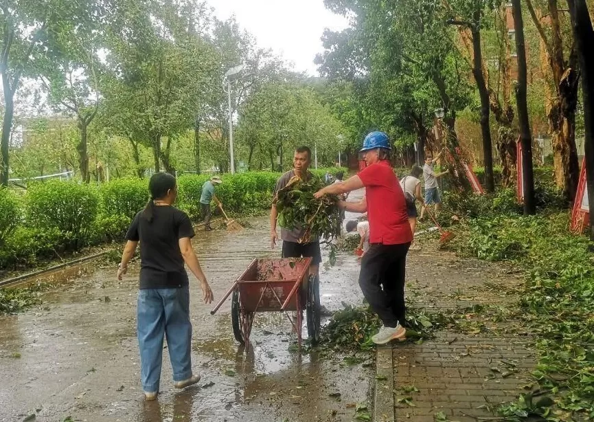 “桦加沙”登陆后的20小时，阳江怎样了？-第54张图片-