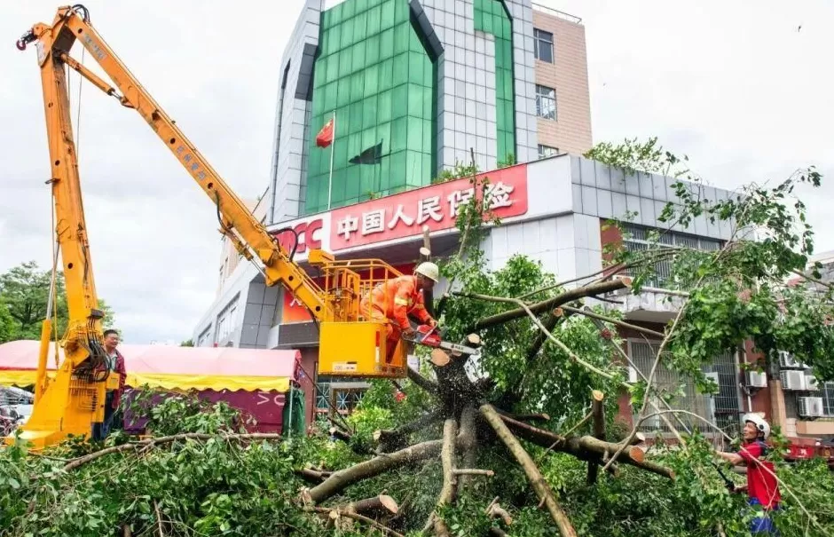 “桦加沙”登陆后的20小时，阳江怎样了？-第55张图片-