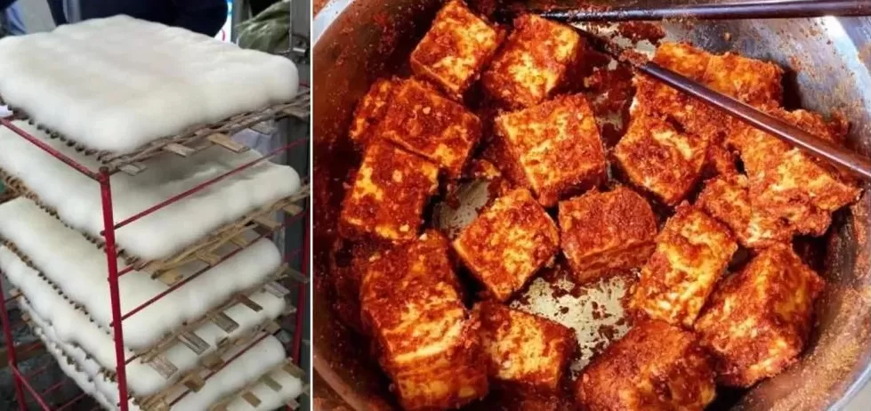 给顾客吃大象粪的“云南菜”，为什么那么火？-第5张图片-