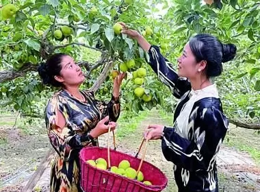 在新疆，一路风景一路歌-第6张图片-