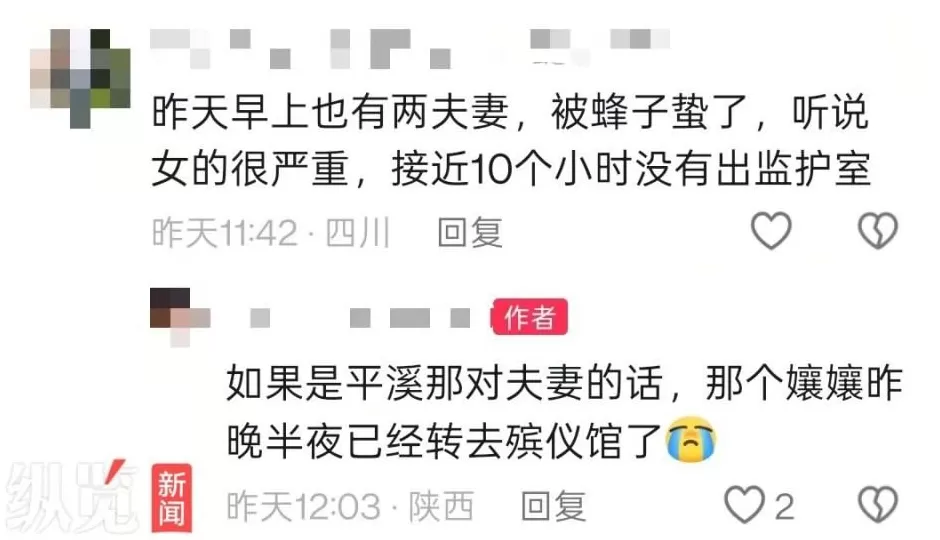 50多岁女性村民被马蜂蜇伤不幸去世，镇政府：是在地里干活时遭到马蜂攻击-第2张图片-