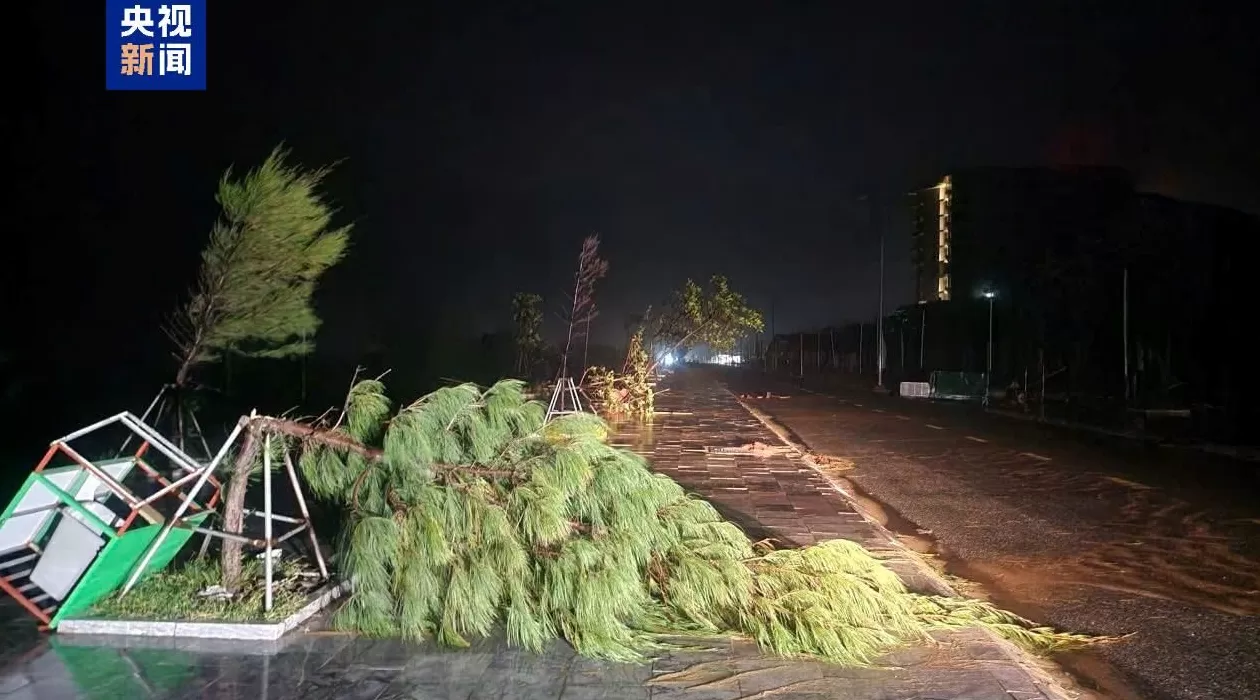 台风“博罗依”登陆越南河静省一带，部分地区断电断网-第1张图片-