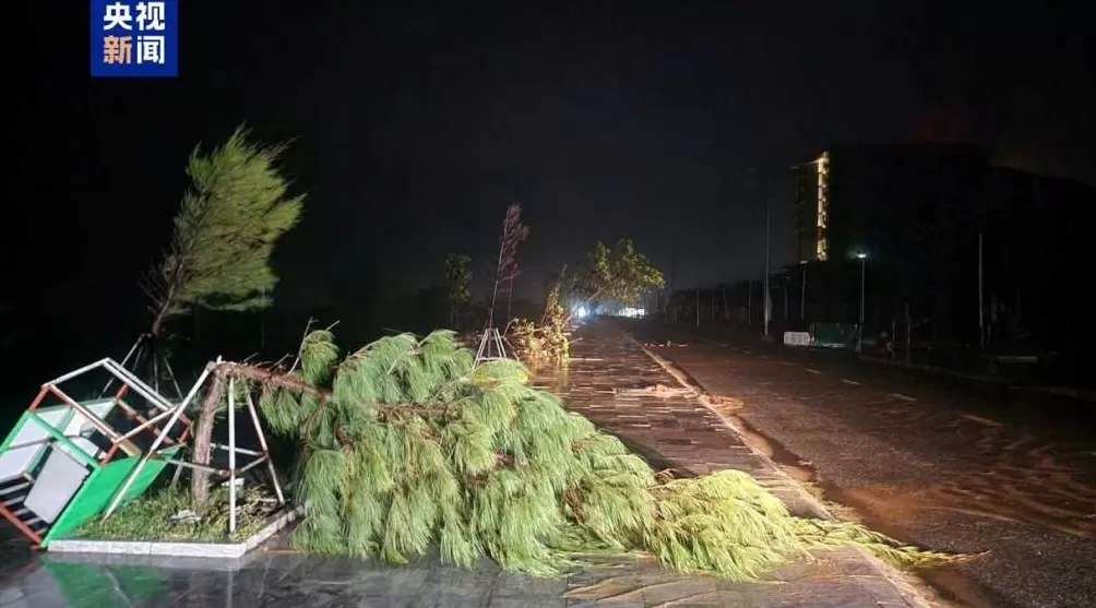 台风“博罗依”登陆越南部分地区断电断网-第1张图片-