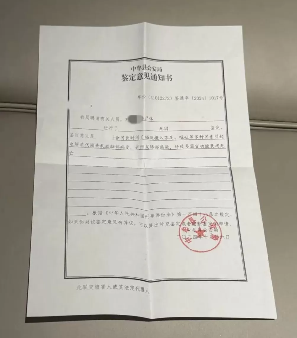 14岁少女未寄出的信-第4张图片-